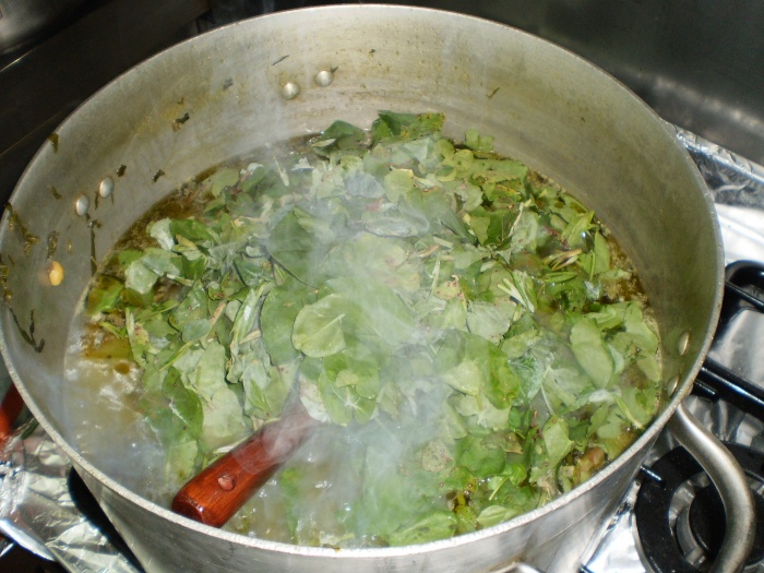 Cocinando los acinojos